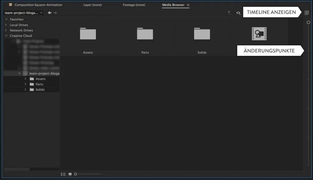 Version Control im Team Project
