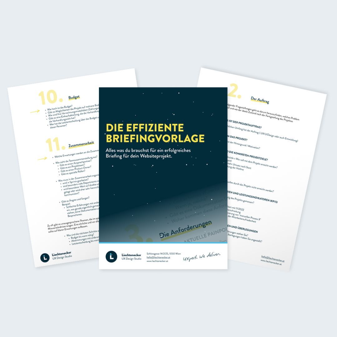 Ansicht Briefingvorlage