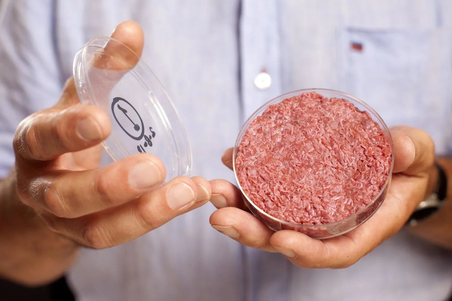A burger made from Cultured Beef, which has been developed by Professor Mark Post of Maastricht University in the Netherlands.<br /> PRESS ASSOCIATION Photo. Issue date: Monday August 5, 2013.<br /> Cultured Beef could help solve the coming food crisis and combat climate change. Commercial production of Cultured Beef could begin within ten to 20 years.